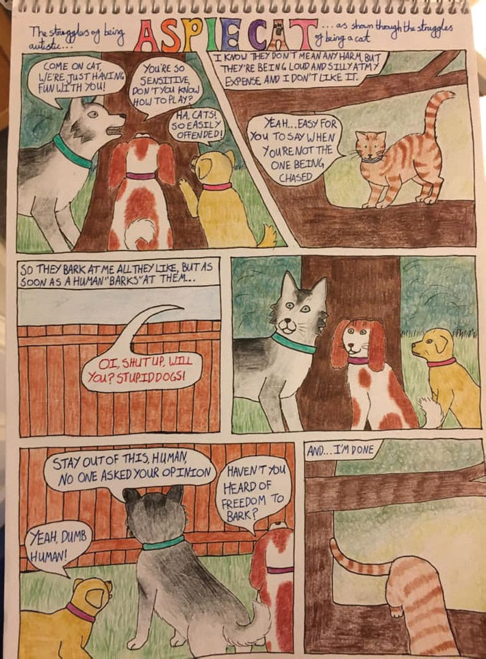 'Aspie Cat' cartoon